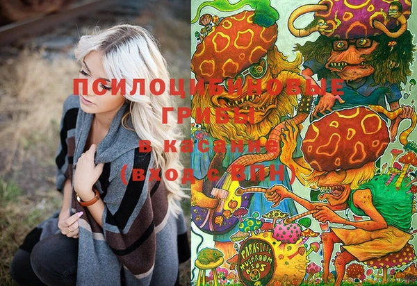 стафф Зеленодольск