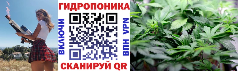Купить где  Бахчисарай  Каннабис AK-47 